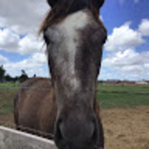 Meet your Posher, Lillian